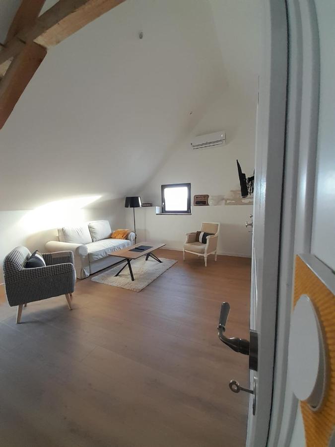 Le Repaire De Bacchus Apartment Saint-Nicolas-de-Bourgueil Exterior photo